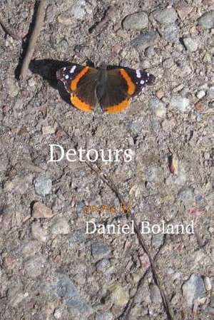 Detours de Daniel Boland