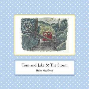 Tom and Jake & the Storm de Helen MccGwire