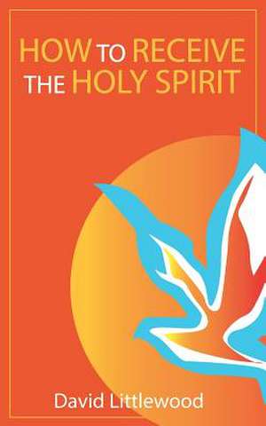 How to Receive the Holy Spirit de David Littlewood