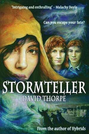 Stormteller de David Thorpe