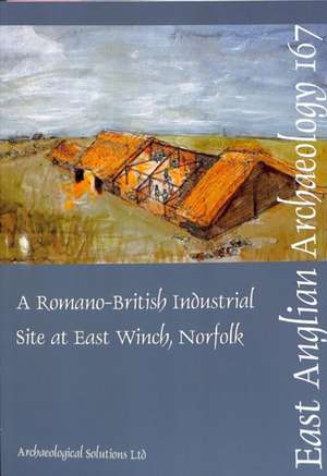 Lally, M: EAA 167: A Romano-British Industrial Site at East de Andrew A. S. Newton