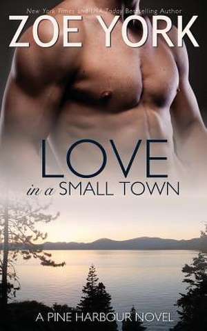 Love in a Small Town de Zoe York