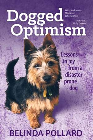 Dogged Optimism de Belinda Pollard