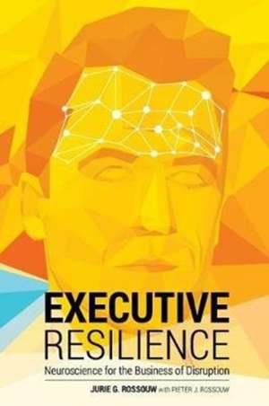 Executive Resilience de Jurie G. Rossouw