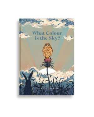 Shallcrass, L: What Colour Is The Sky? de Laura Shallcrass