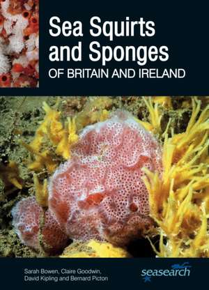 Sea Squirts and Sea Sponges of Britain and Ireland de Sarah Bowen