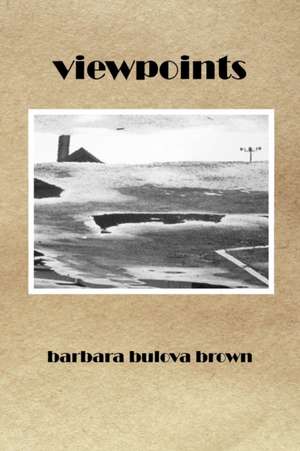 Viewpoints de Barbara Brown