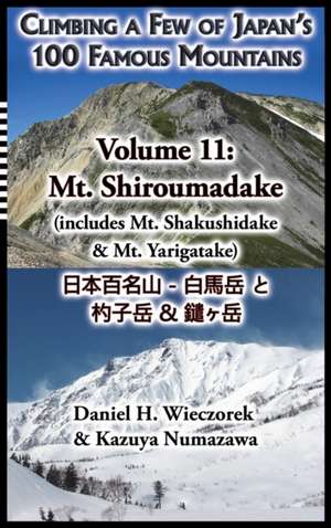 Climbing a Few of Japan's 100 Famous Mountains - Volume 11