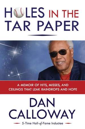 Holes in the Tar Paper de Dan W Calloway