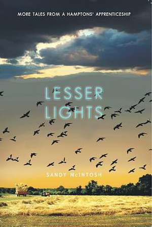 Lesser Lights de Sandy McIntosh