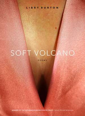 Soft Volcano de Burton, Libby