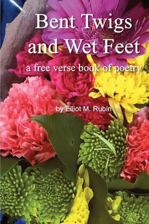 Bent Twigs and Wet Feet: a free verse book of poetry de Elliot M. Rubin