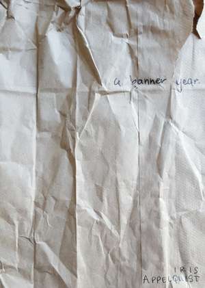 A banner year. de Iris Appelquist