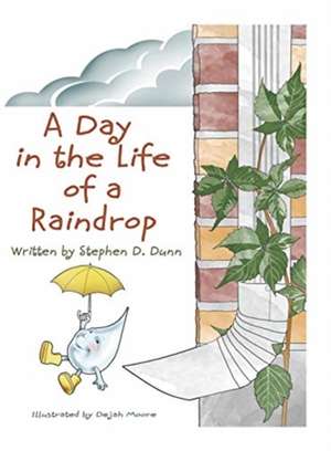 A Day In The Life Of A Raindrop de Stephen Daingerfield Dunn