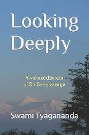 Tyagananda, S: Looking Deeply