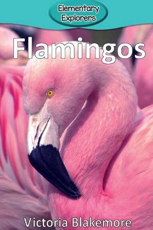 Flamingos de Victoria Blakemore