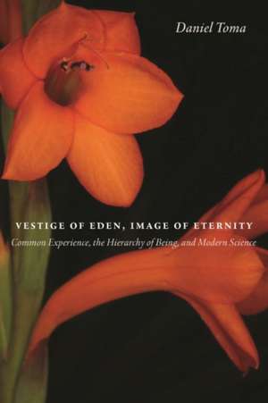 Vestige of Eden, Image of Eternity: Common Experience, the Hierarchy of Being, and Modern Science de Daniel Toma