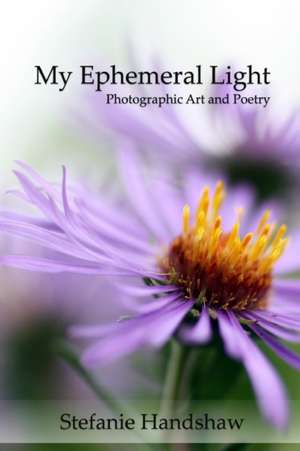 My Ephemeral Light de Stefanie Handshaw