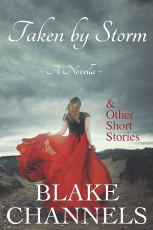 Taken by Storm: And Other Short Stories de Blake Channels