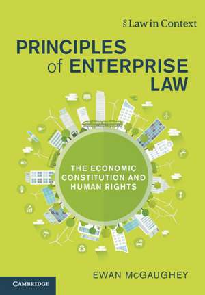 Principles of Enterprise Law: The Economic Constitution and Human Rights de Ewan McGaughey