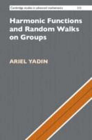 Harmonic Functions and Random Walks on Groups de Ariel Yadin