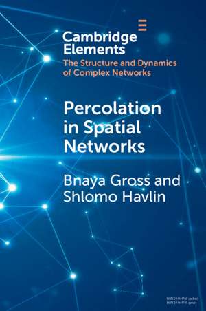 Percolation in Spatial Networks: Spatial Network Models Beyond Nearest Neighbours Structures de Bnaya Gross