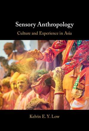 Sensory Anthropology: Culture and Experience in Asia de Kelvin E. y. Low