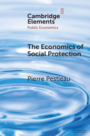 The Economics of Social Protection de Pierre Pestieau