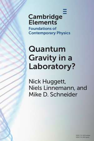 Quantum Gravity in a Laboratory? de Nick Huggett