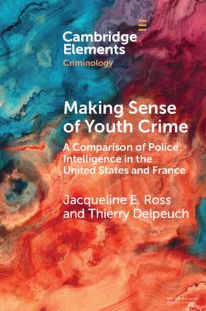 Making Sense of Youth Crime: A Comparison of Police Intelligence in the United States and France de Jacqueline E. Ross