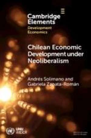 Chilean Economic Development under Neoliberalism de Andrés Solimano