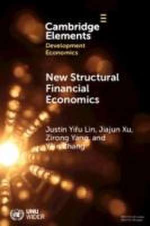 New Structural Financial Economics de Jiajun Xu