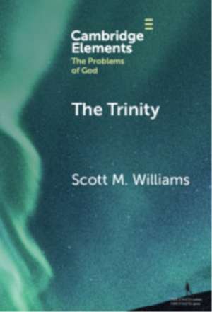 The Trinity de Scott M. Williams
