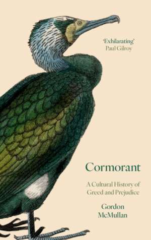 Cormorant de Gordon McMullan