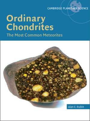 Ordinary Chondrites de Alan E Rubin