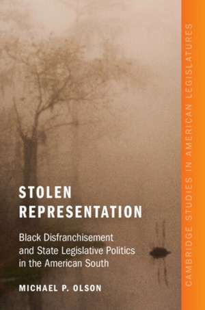 Stolen Representation de Michael P. Olson