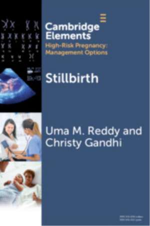 Stillbirth de Christy Gandhi