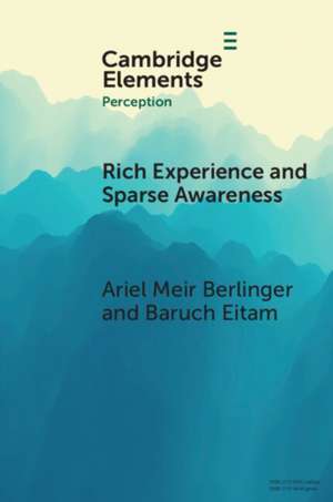 Rich Experience and Sparse Awareness de Ariel Meir Berlinger