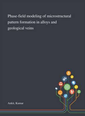 Phase-field Modeling of Microstructural Pattern Formation in Alloys and Geological Veins de Kumar Ankit