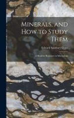 Minerals, and How to Study Them de Edward Salisbury Dana