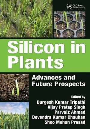 Silicon in Plants de Devendra Kumar Chauhan
