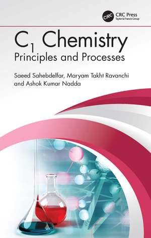 C1 Chemistry: Principles and Processes de Saeed Sahebdelfar