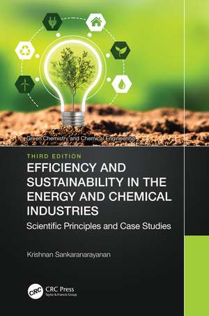 Efficiency and Sustainability in the Energy and Chemical Industries: Scientific Principles and Case Studies de Krishnan Sankaranarayanan