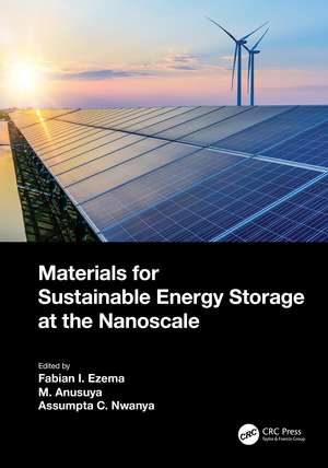 Materials for Sustainable Energy Storage at the Nanoscale de Fabian Ifeanyichukwu Ezema