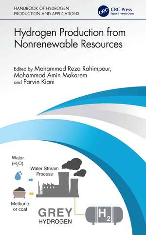 Hydrogen Production from Nonrenewable Resources de Mohammad Reza Rahimpour