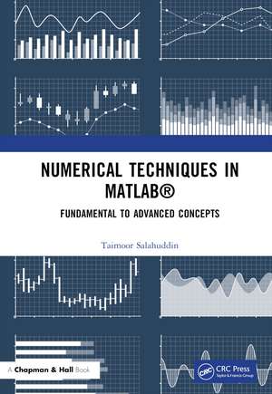 Numerical Techniques in MATLAB: Fundamental to Advanced Concepts de Taimoor Salahuddin