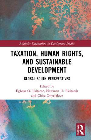 Taxation, Human Rights, and Sustainable Development de Chisa Onyejekwe