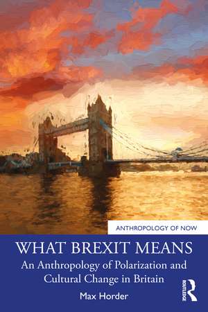 What Brexit Means: An Anthropology of Polarization and Cultural Change in Britain de Max Horder