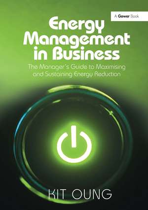 Energy Management in Business: The Manager's Guide to Maximising and Sustaining Energy Reduction de Kit Oung