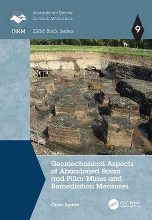 Geomechanical Aspects of Abandoned Room and Pillar Mines and Remediation Measures de Omer Aydan